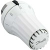 DANFOSS RAE-H 5035 элемент термостатический М28 
