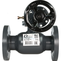 РИДАН RJIP Premium 065N0341R — Кран шаровой FF DN100 PN25 WG (фланцевый, с редуктором, стандартный проход) 065N0341R